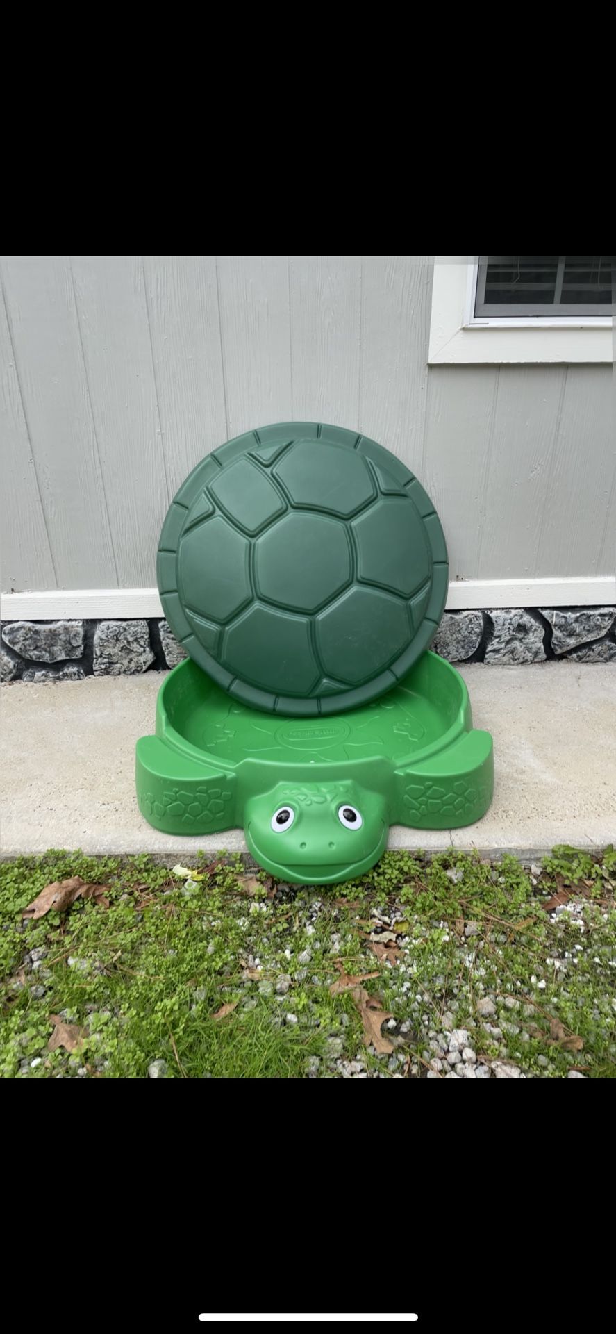 Sand Box Turtle
