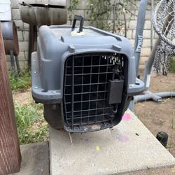 Small Animal Carrier