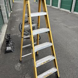 6’ Dewalt Ladder