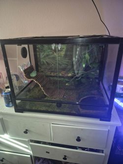 Reptile enclosure. Large.