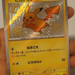 Shiny Pikachu #236