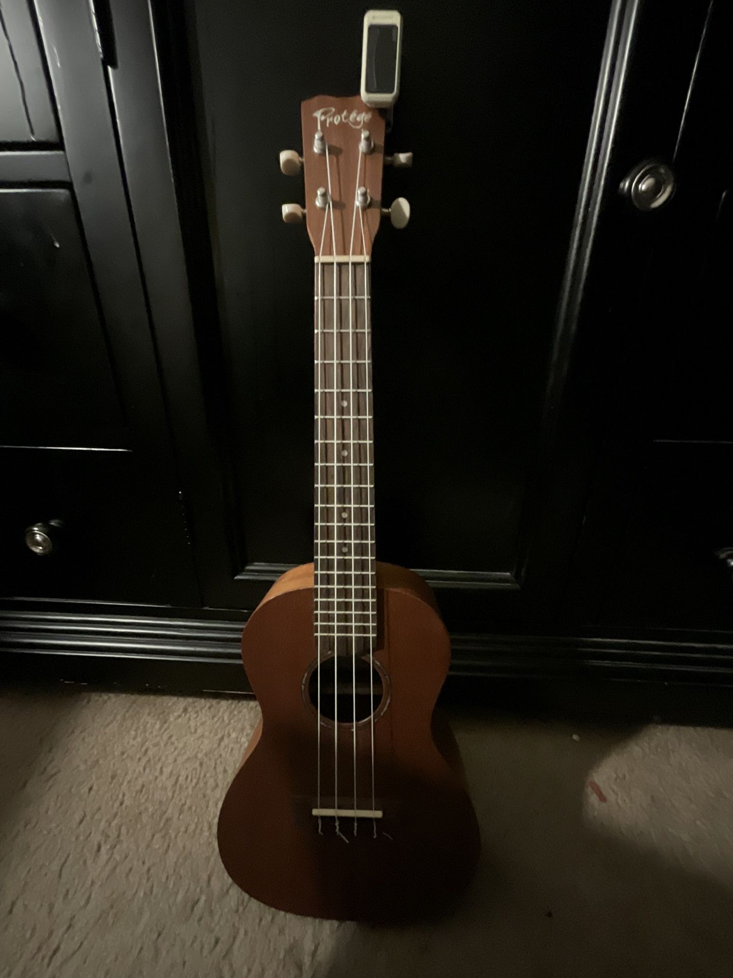 Ukulele With Case,tuner & Ukulele Book Lessons