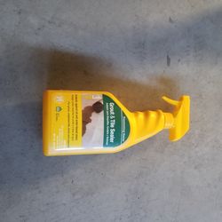 Grout and tile sealer