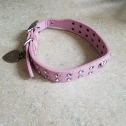 Tiffany    Pet  Collar 