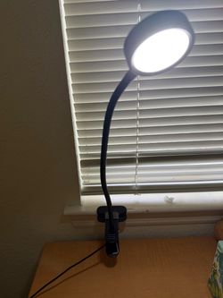 LED DESK LAMP DELAND PICK UP