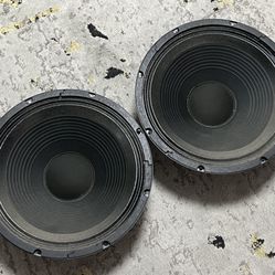 Two 12” Guitar Speakers