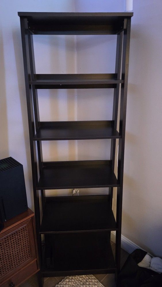 Ladder Bookshelf