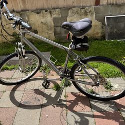 Raleigh Venture 3.0