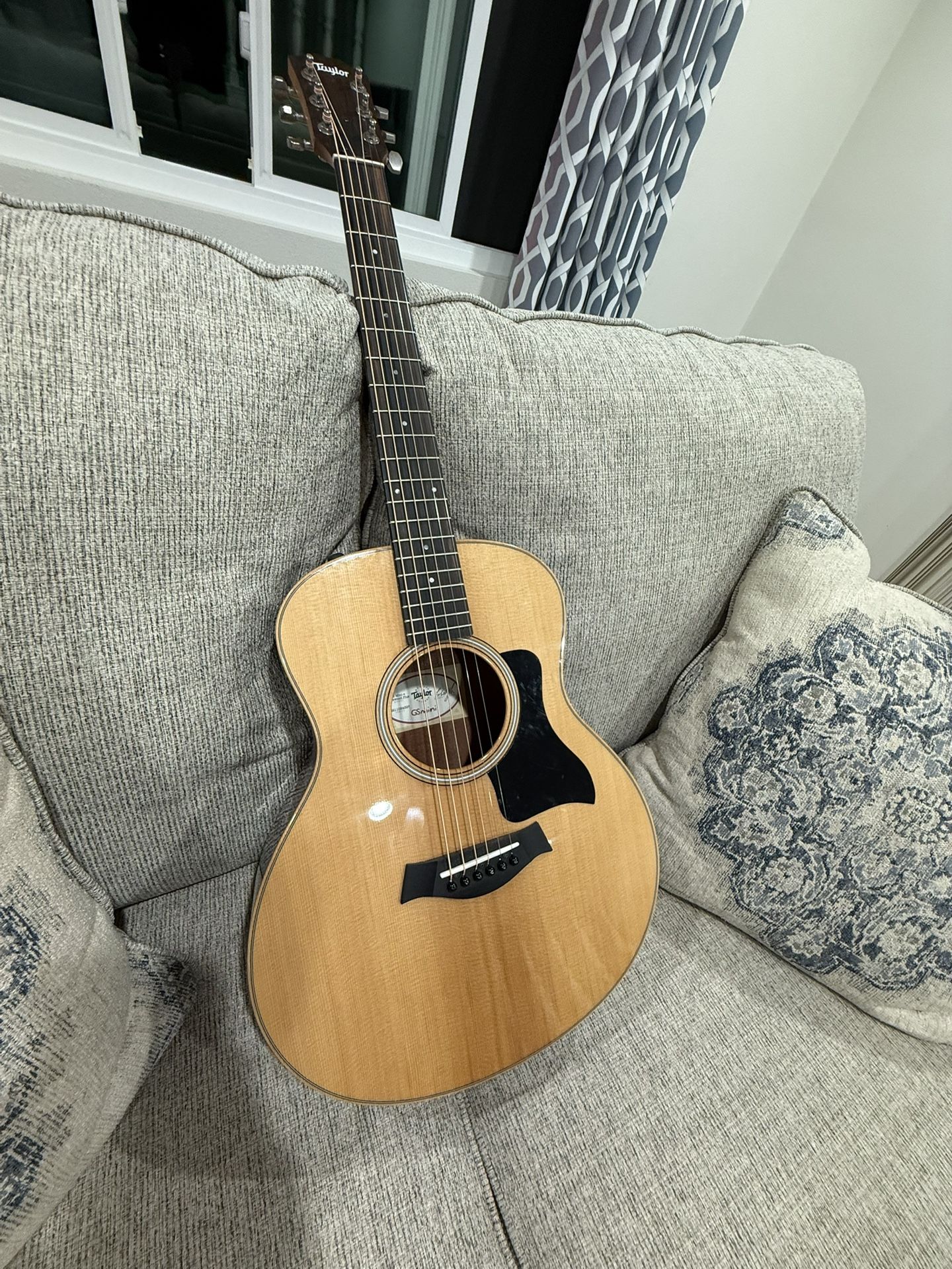 Taylor GS Mini Rosewood Plus