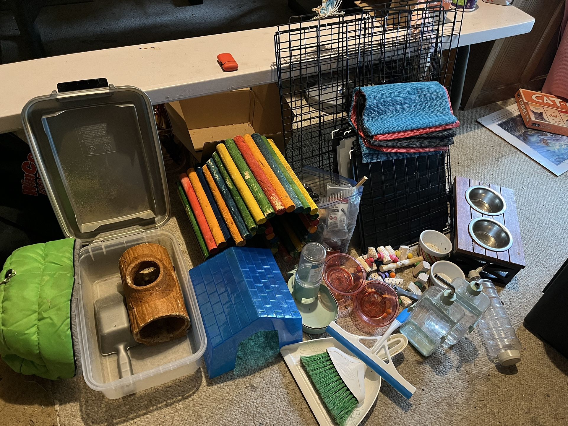 Guinea Pig Supplies