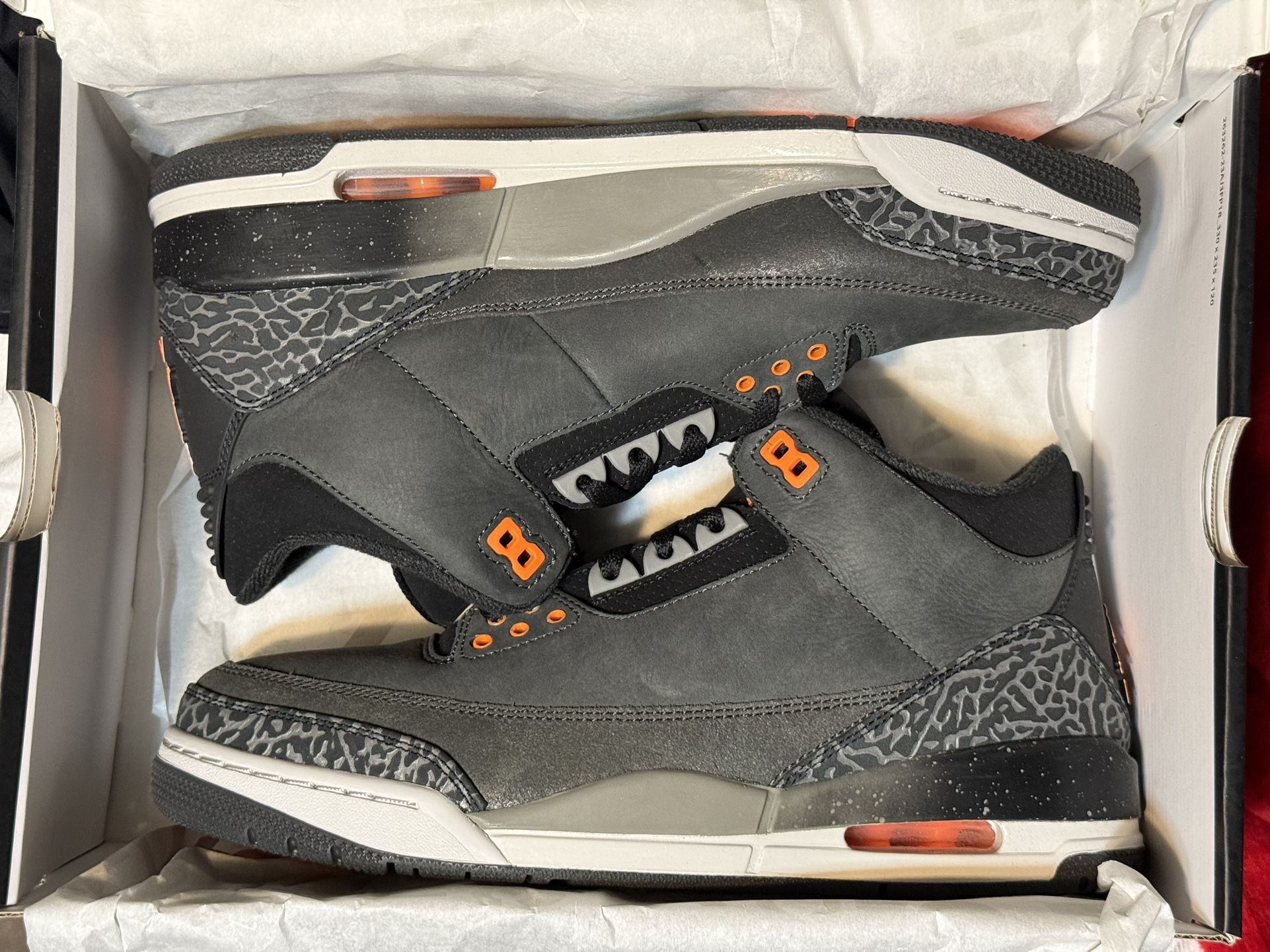 Jordan 3 Fears (2023) Size 10