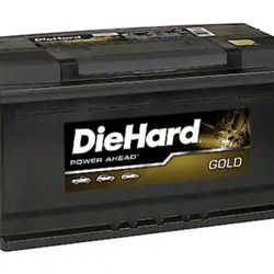 Diehard Gold H8 Group Size, 900 CCA