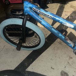 Incognito Bike