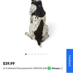 Large Kong Dog Harness 