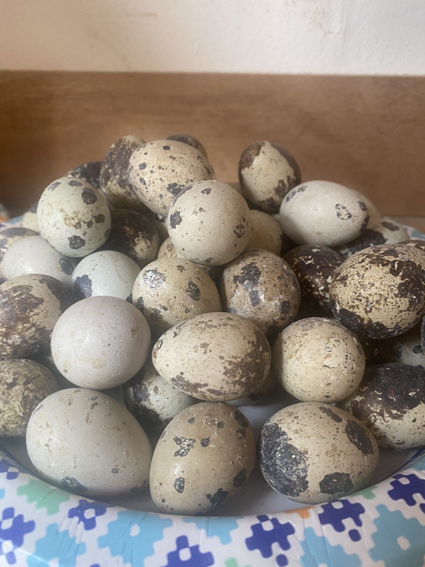 Farm Fresh Organic Quail Eggs
