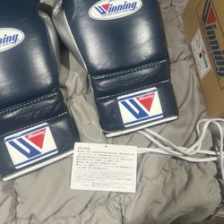 Winning Boxing Gloves
