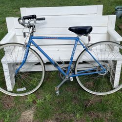 Schwinn Traveler