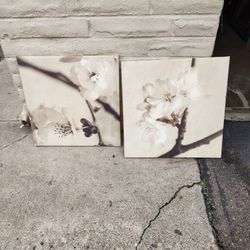 Two Pictures 22 x 22 