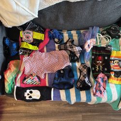 Small dog accessories