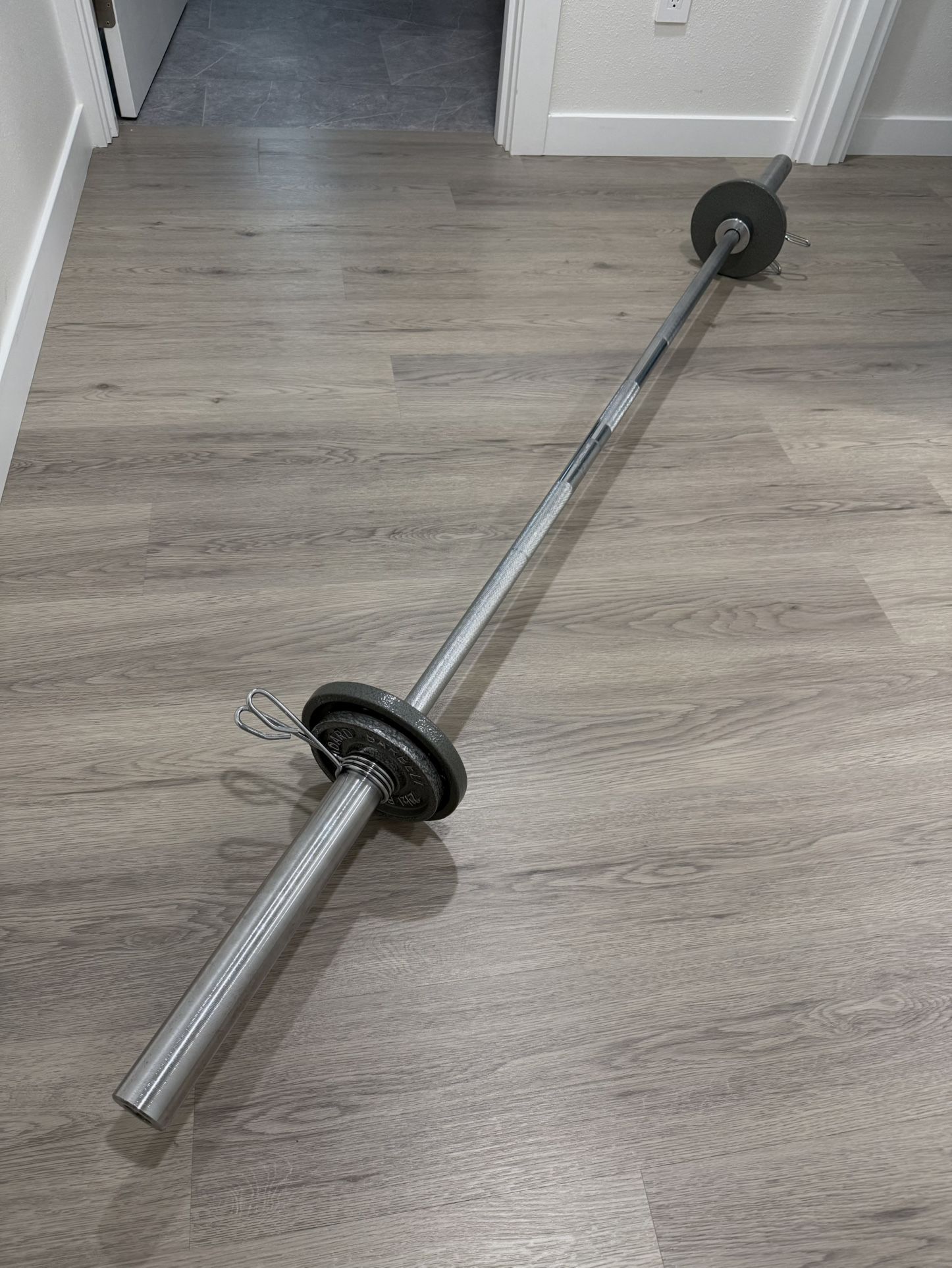 Olympic Barbell And Bumper Plates $80 (OBO)