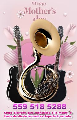 Disponibles Este 12 De Mayo Grupo Con tuba