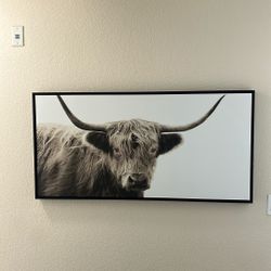 Western Ox Wall Art