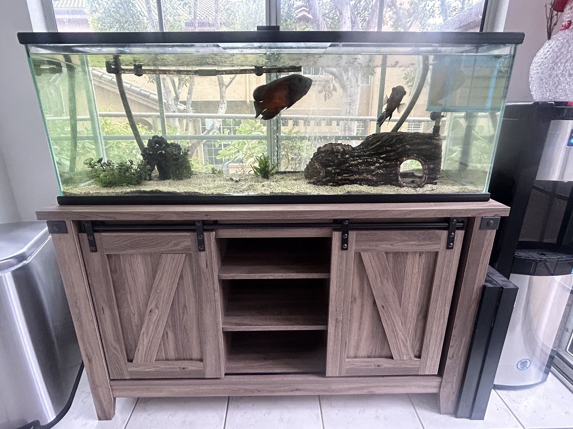 Fish tank