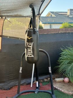 Punch 🥊 bag