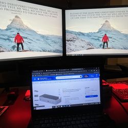 STARTECH 4K Dual Monitor setup