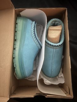 New Tasman Uggs