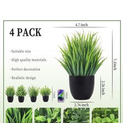4 Pack Decor Plants 🪴 