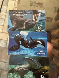 3 adult or child SeaWorld tickets
