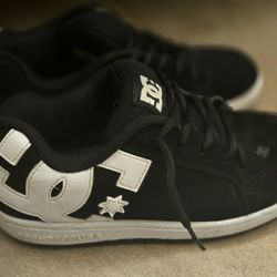 Shoes Skate Dcsshoes