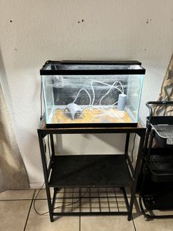 10 Gallon Tank And Stand