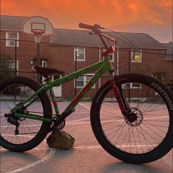 Fully Custom Savage Flyer
