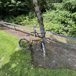 Professional BMX bike