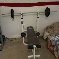 Weight Bench With Weights 