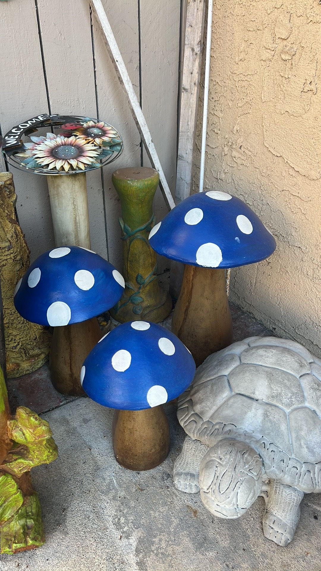 New Mushroom