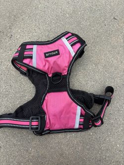 Pet harness