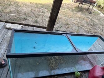 Large Reptile Terrarium