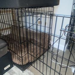 XL Dog Kennel 