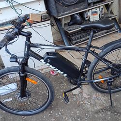 Vendo.Vaica.eletrica.