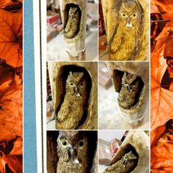 Chainsaw Carving Owl In A Log