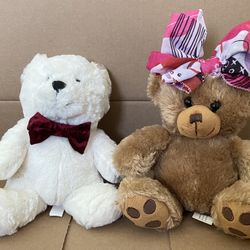 Two Adorable Teddy Bears 
