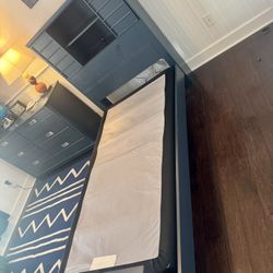 Navy twin bed