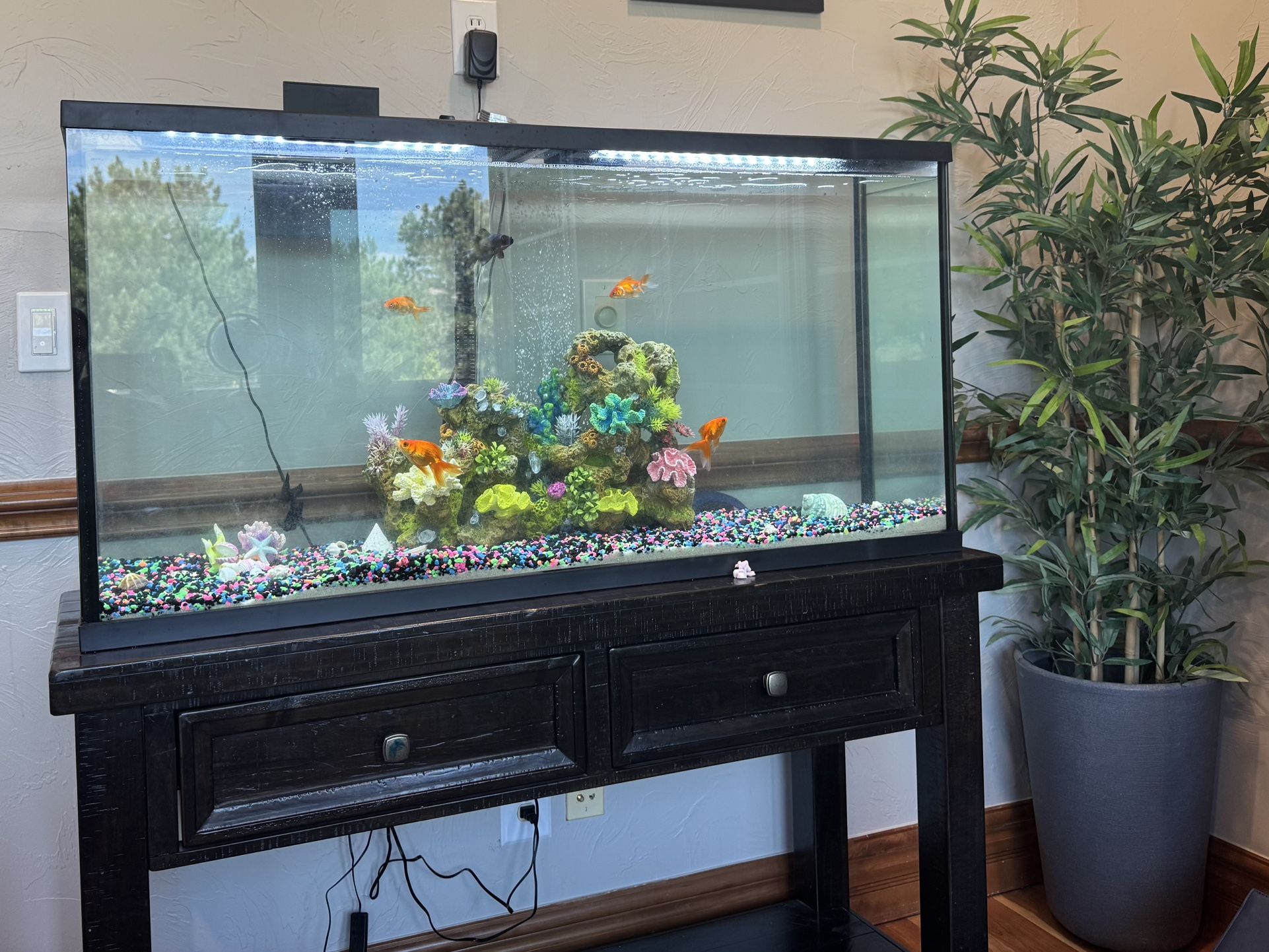 55 Gallon Aquarium (Only Used 1 Week)