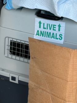 Large airline approved crate