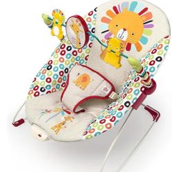 Baby Bouncer