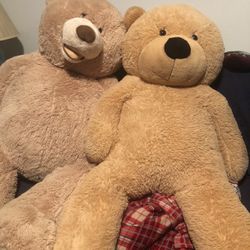 2 Giant Bears