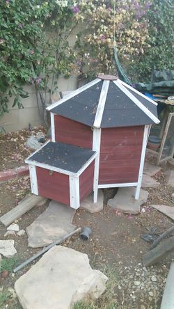 Chicken Coop